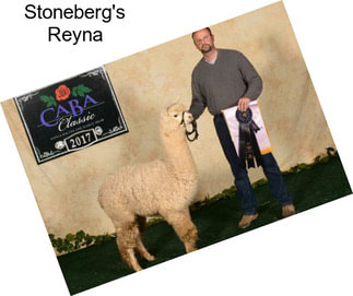 Stoneberg\'s Reyna