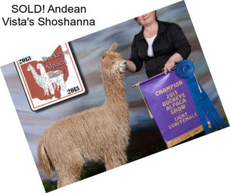 SOLD! Andean Vista\'s Shoshanna