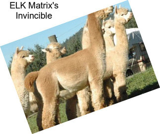 ELK Matrix\'s Invincible