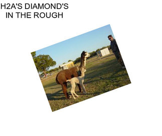 H2A\'S DIAMOND\'S IN THE ROUGH