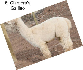 6. Chimera\'s Galileo