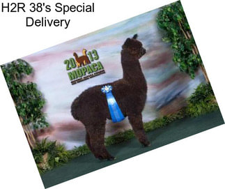 H2R 38\'s Special Delivery