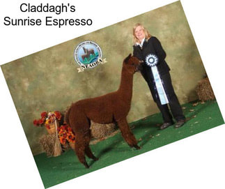 Claddagh\'s Sunrise Espresso