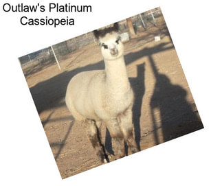 Outlaw\'s Platinum Cassiopeia