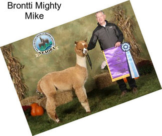 Brontti Mighty Mike