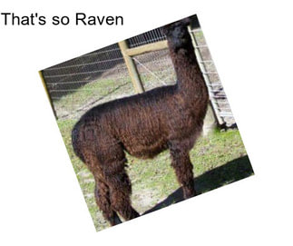 That\'s so Raven