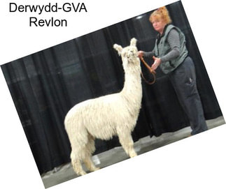 Derwydd-GVA Revlon