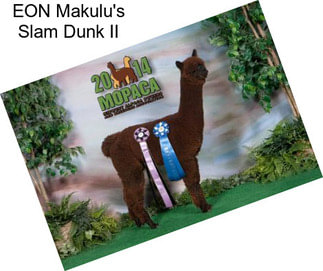 EON Makulu\'s Slam Dunk II