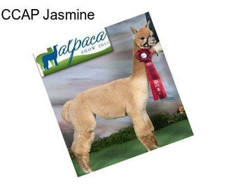 CCAP Jasmine