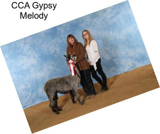 CCA Gypsy Melody