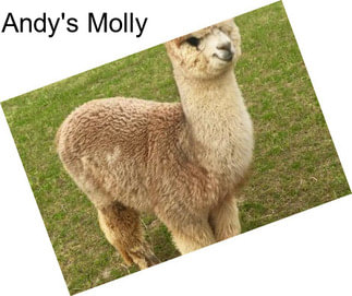 Andy\'s Molly