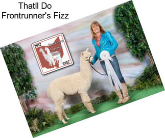 Thatll Do Frontrunner\'s Fizz