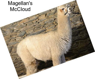 Magellan\'s McCloud