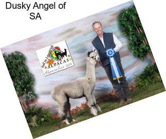 Dusky Angel of SA