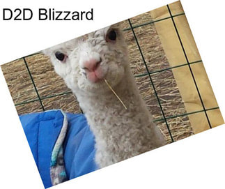 D2D Blizzard