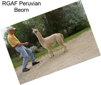 RGAF Peruvian Beorn