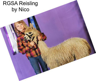 RGSA Reisling by Nico