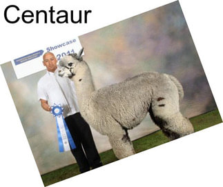 Centaur