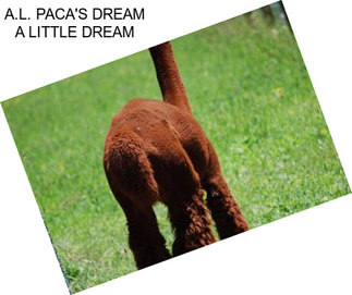 A.L. PACA\'S DREAM A LITTLE DREAM