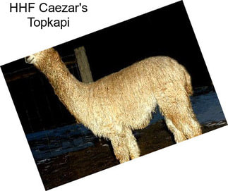 HHF Caezar\'s Topkapi
