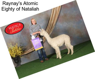 Raynay\'s Atomic Eighty of Nataliah