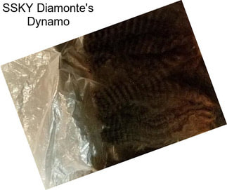 SSKY Diamonte\'s Dynamo