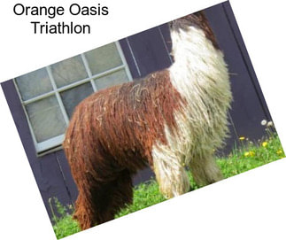 Orange Oasis Triathlon
