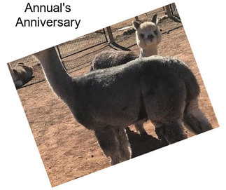 Annual\'s Anniversary