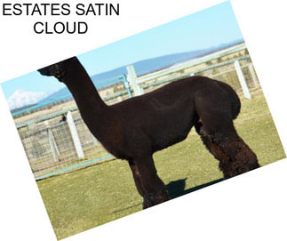 ESTATES SATIN CLOUD