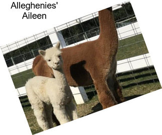 Alleghenies\' Aileen