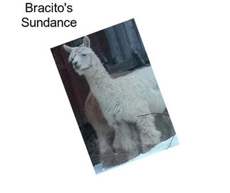 Bracito\'s Sundance