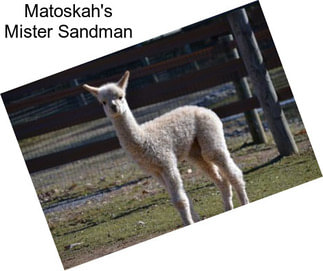 Matoskah\'s Mister Sandman