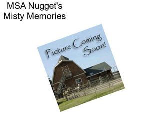 MSA Nugget\'s Misty Memories