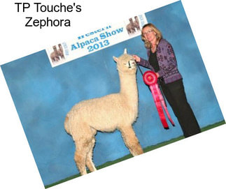 TP Touche\'s Zephora