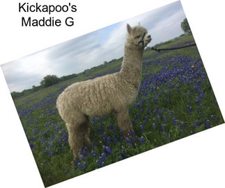 Kickapoo\'s Maddie G