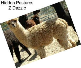 Hidden Pastures Z Dazzle