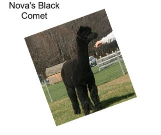 Nova\'s Black Comet