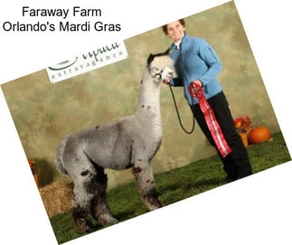 Faraway Farm Orlando\'s Mardi Gras
