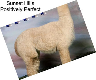 Sunset Hills Positively Perfect