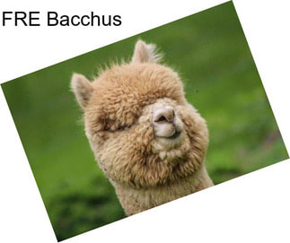 FRE Bacchus