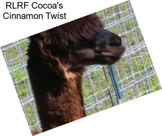 RLRF Cocoa\'s Cinnamon Twist