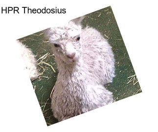 HPR Theodosius
