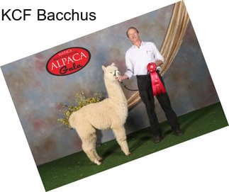 KCF Bacchus