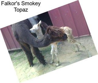Falkor\'s Smokey Topaz