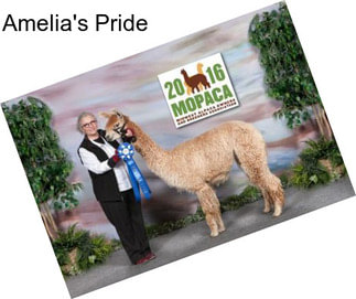 Amelia\'s Pride