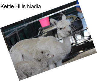 Kettle Hills Nadia