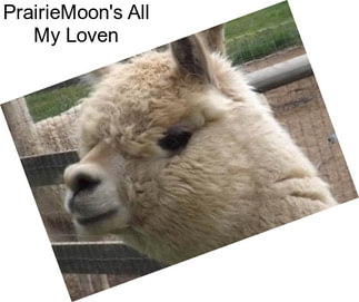 PrairieMoon\'s All My Loven