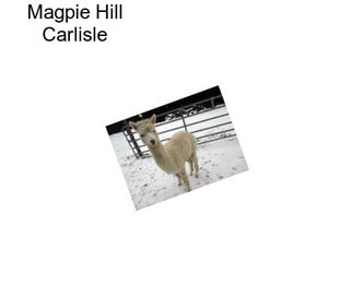 Magpie Hill Carlisle