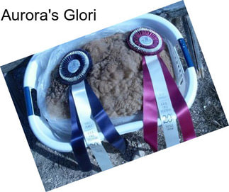 Aurora\'s Glori