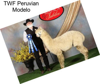 TWF Peruvian Modelo